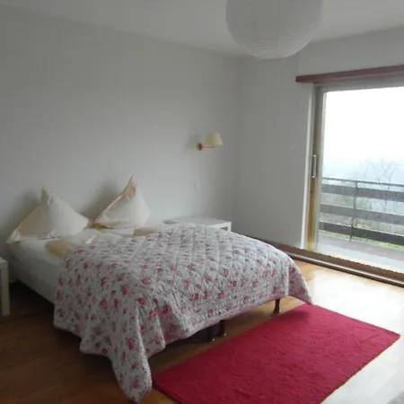 Du Lion D'or La Petite-Pierre