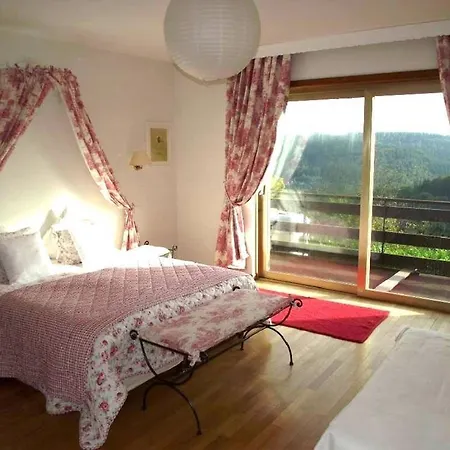 Du Lion D'or * La Petite-Pierre