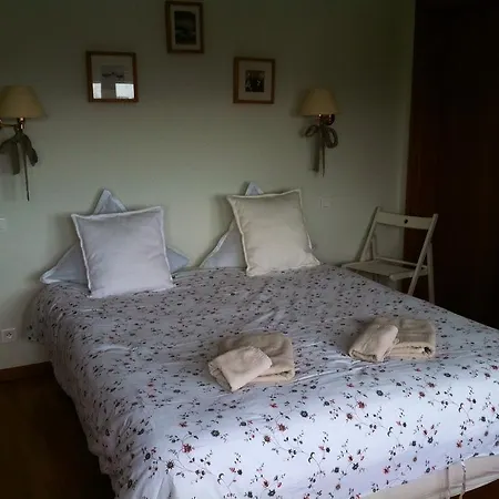 Du Lion D'or Villa La Petite-Pierre