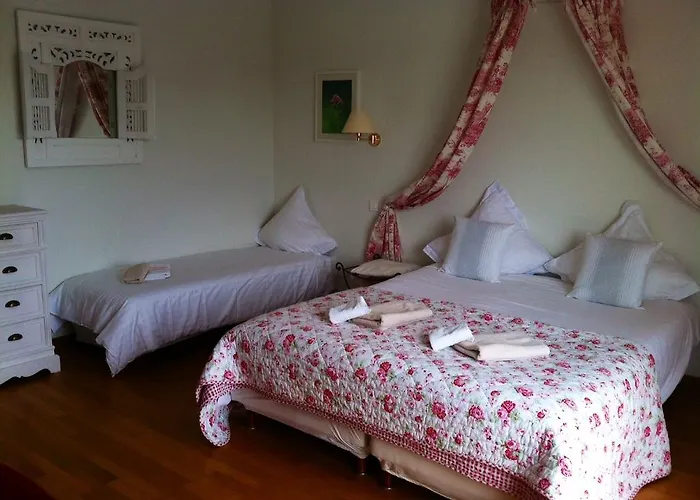 Du Lion D'or Villa La Petite-Pierre